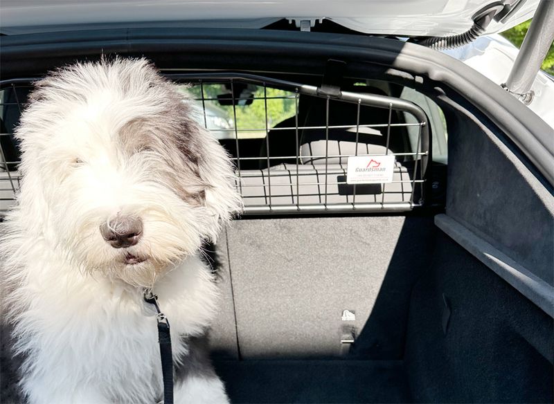 Tesla Model S #2 2022+ dog guard